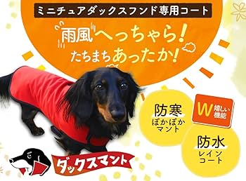 サラダページです　ダックスフンド　犬服　犬の服　ダックス ダックスフンド 服 ds S M L XL(Dachshund) - cocker papa